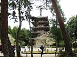 醍醐寺五重塔