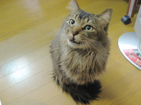 床に座って