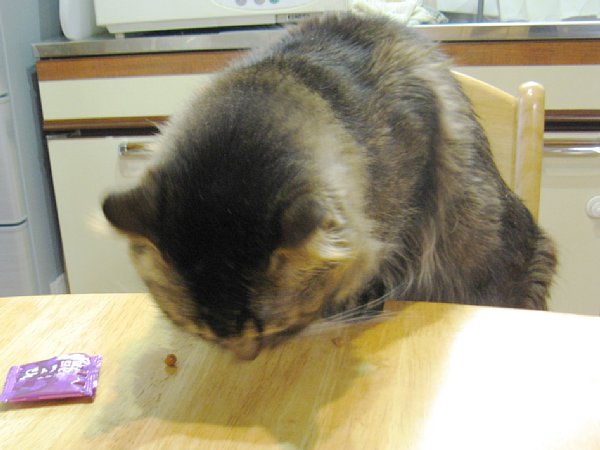 お食事中