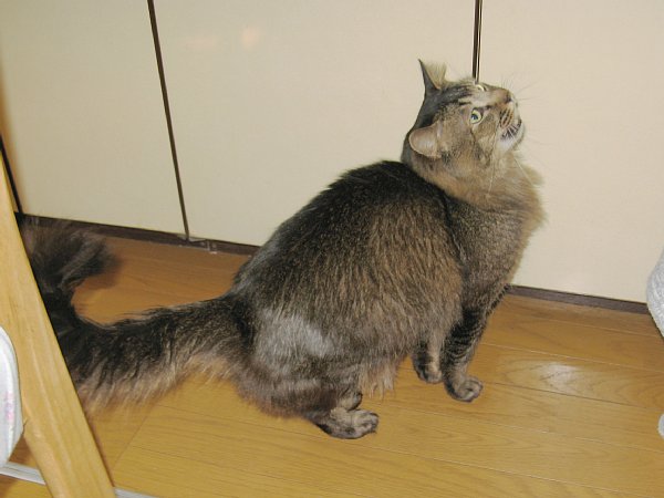 おねだり