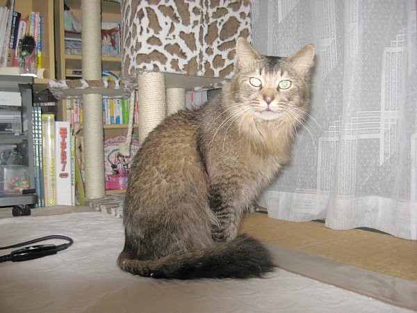 床に座って