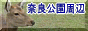 奈良公園周辺のページへ