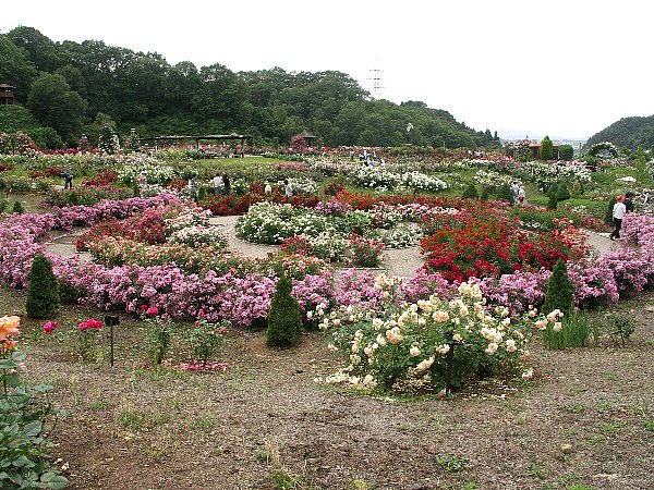 世界のバラ園