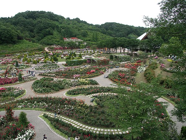 世界のバラ園