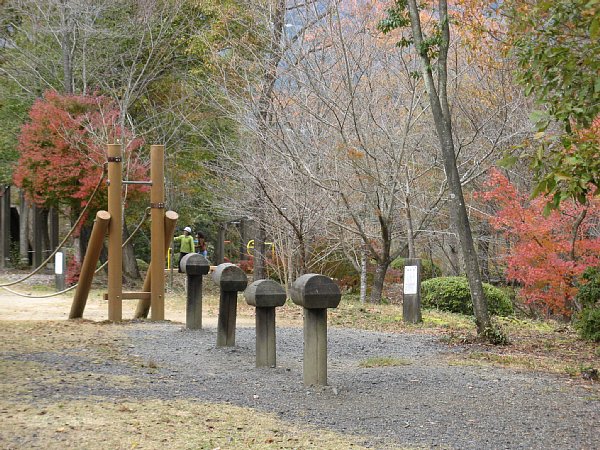 遊具と紅葉