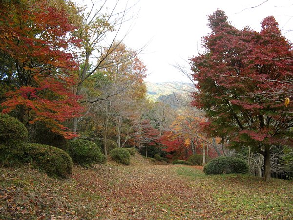 公園高台