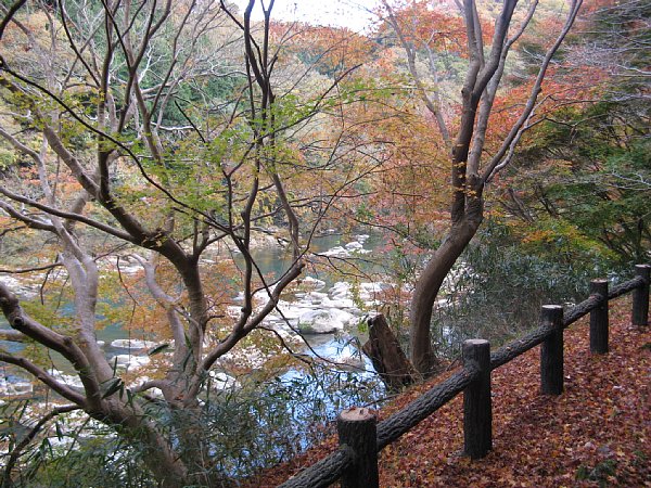遊歩道から