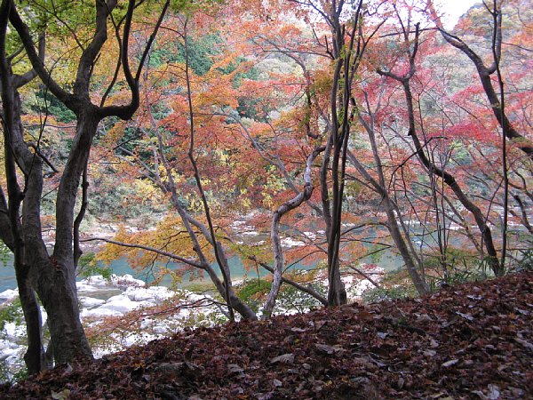 遊歩道から