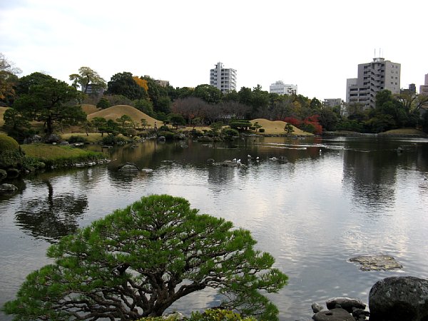水前寺公園(背後のビル)