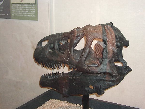 アロサウルス