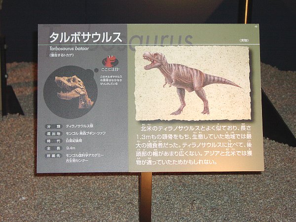 説明板(タルボサウルス)