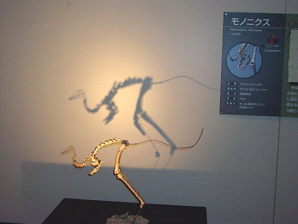 モノニクス