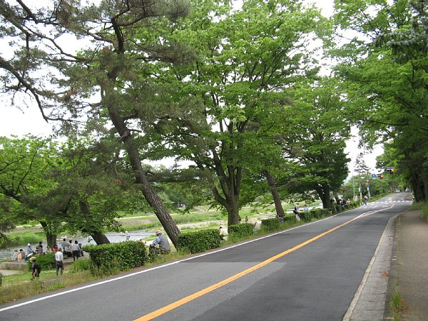 撮影場所(行列の来る方向)