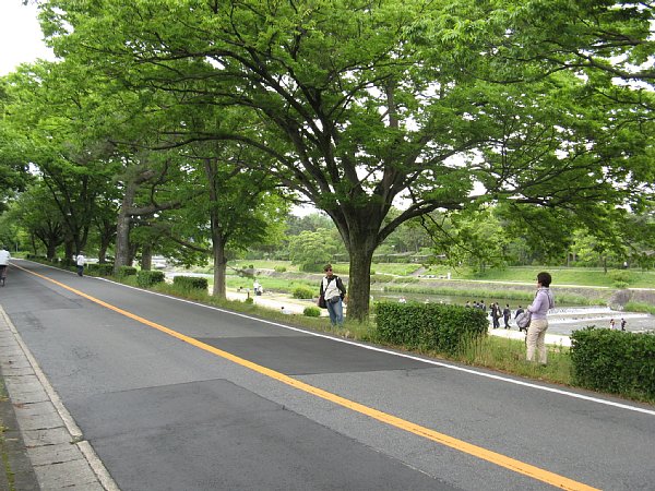 賀茂川堤(行列が去る方向)