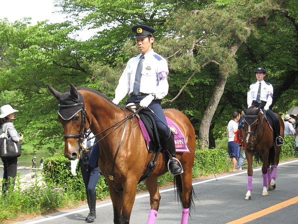 先導馬