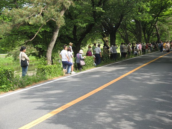 観覧客の様子