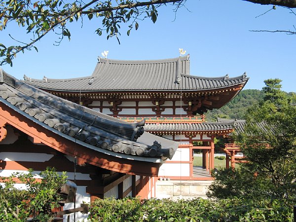 鳳凰堂(裏から)