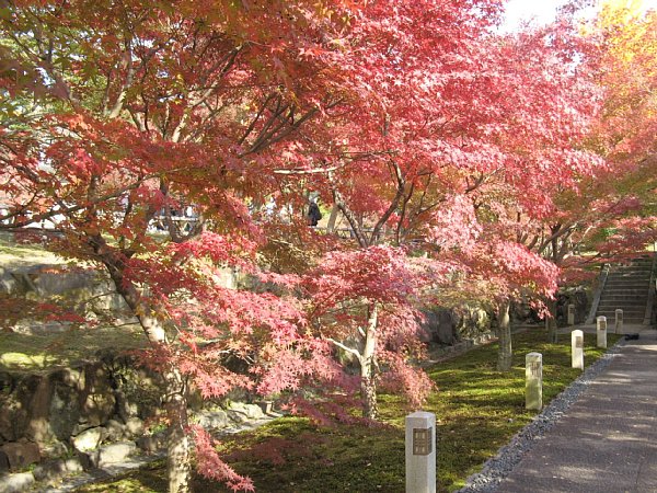 境内の紅葉