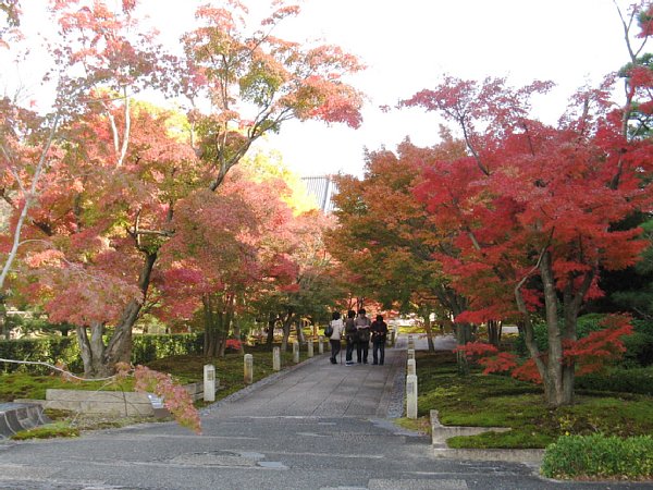 境内の紅葉