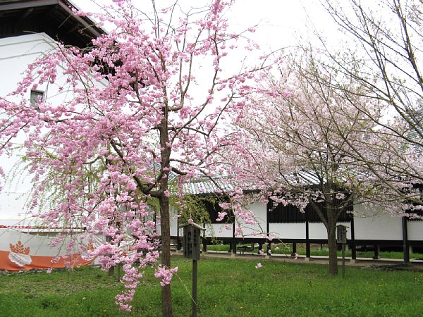 霊宝館 裏側