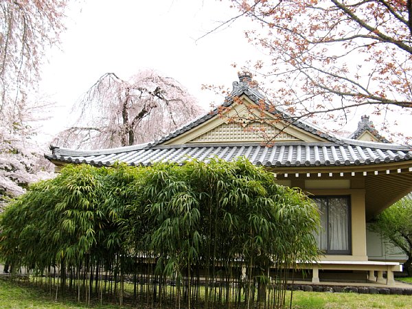 霊宝館北西の建物