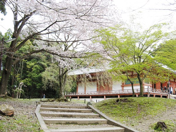 金堂(横から)