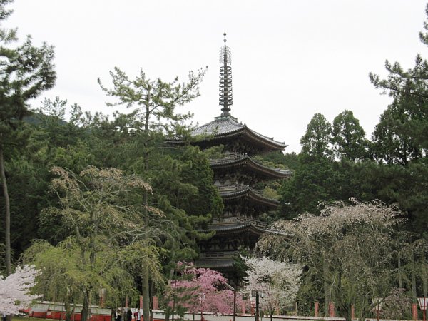 金堂から見た五重塔