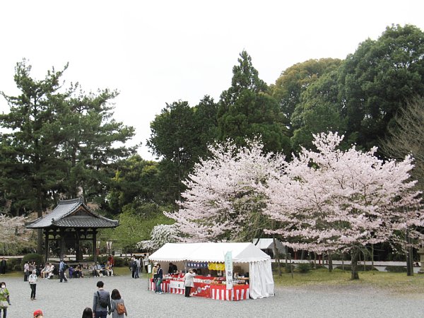 金堂から
