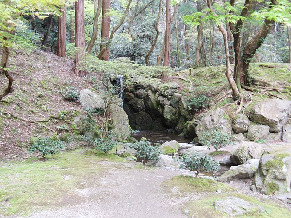 無量寿苑の滝