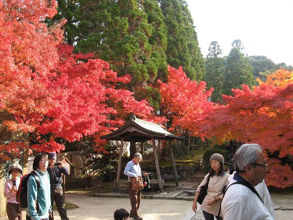門を入ったすぐの参道