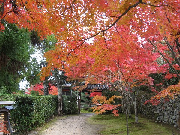 江庵への通路