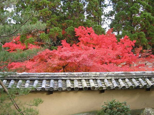 庭園東側