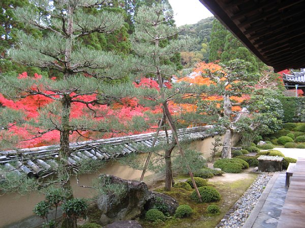 方丈庭園東庭
