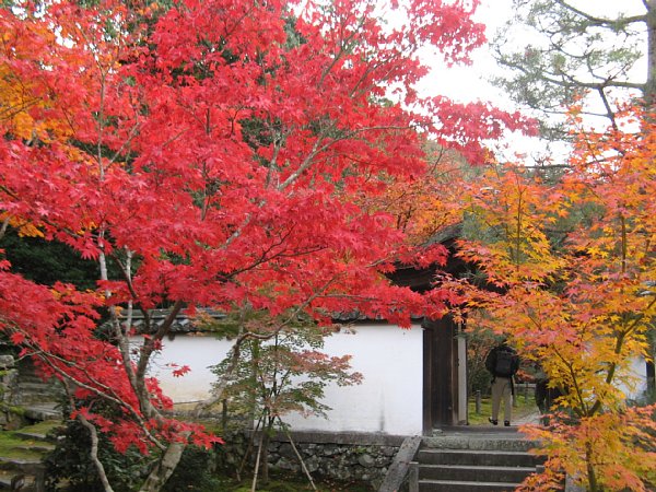 参道途中の門