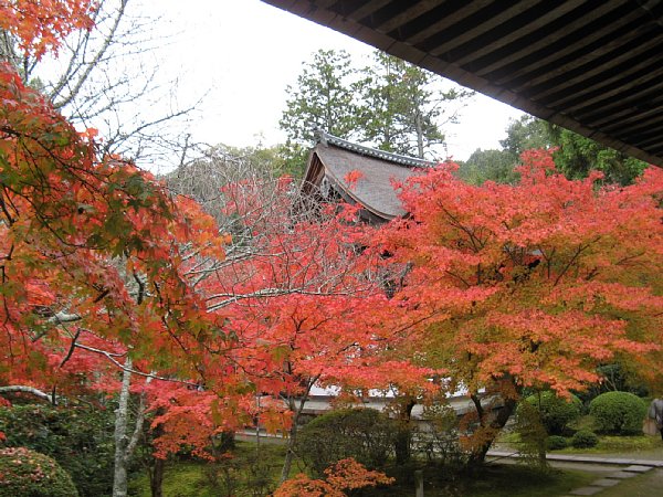 開山堂から見た本堂
