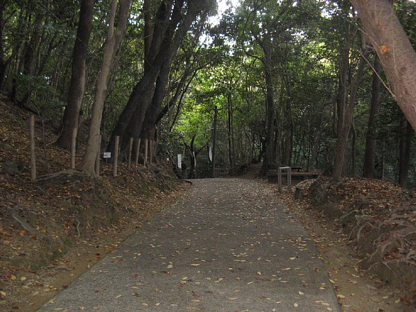 脇の通路