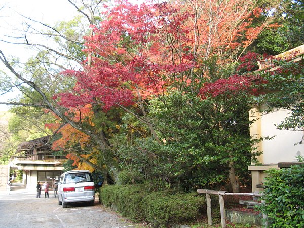 休憩所横の紅葉