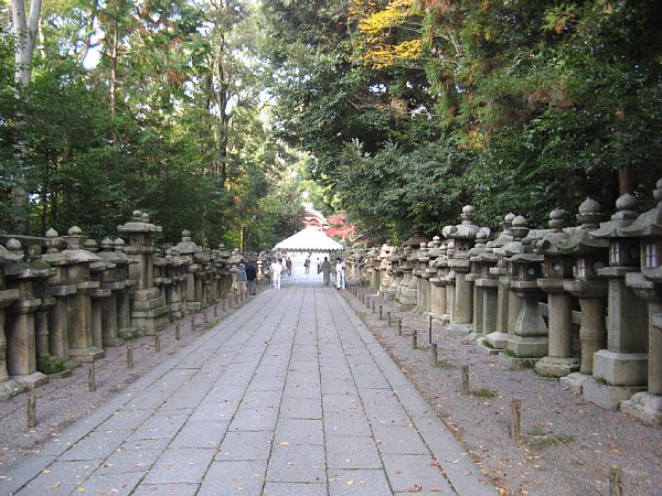 正面参道