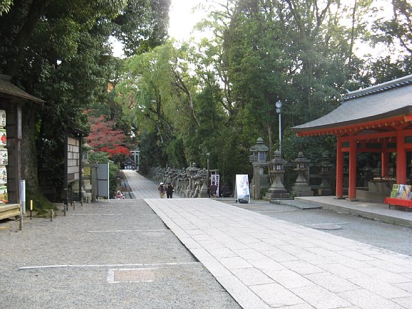 振り返って 参道