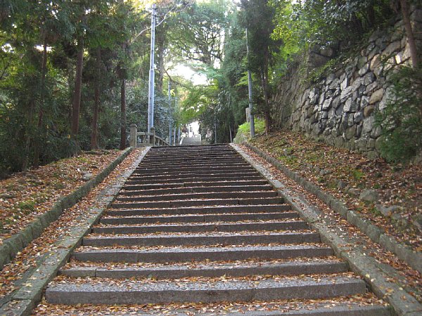 同じく表参道