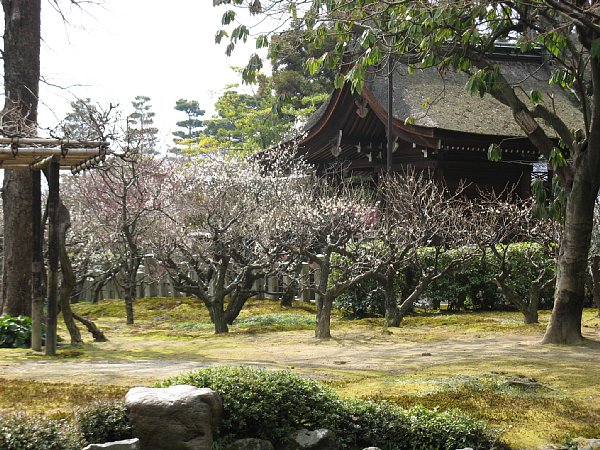 平安の庭5