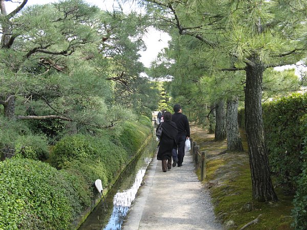 杜若の小道