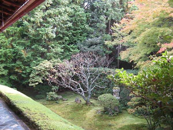 真如の庭 右側から