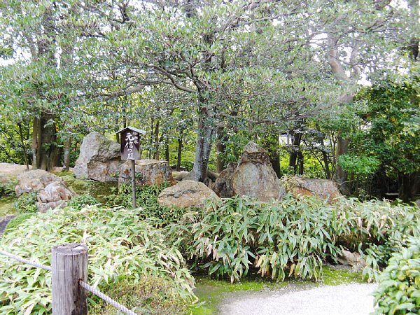 元信の庭(その2)