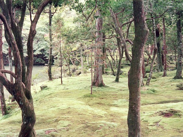 西芳寺庭園1(1970年)