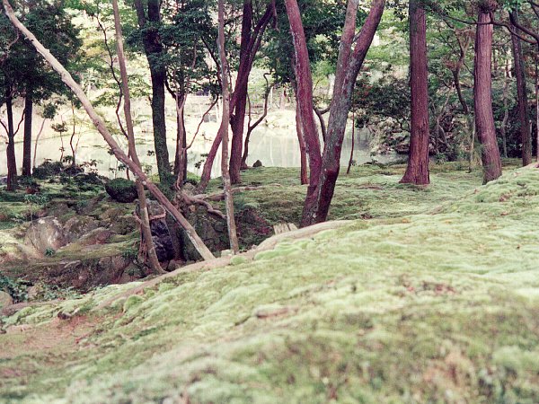 西芳寺庭園2(1970年)