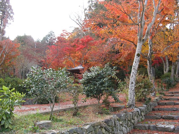 正法寺参道