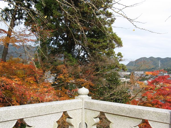 境内からの眺め