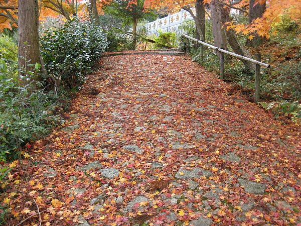左に分かれた参道