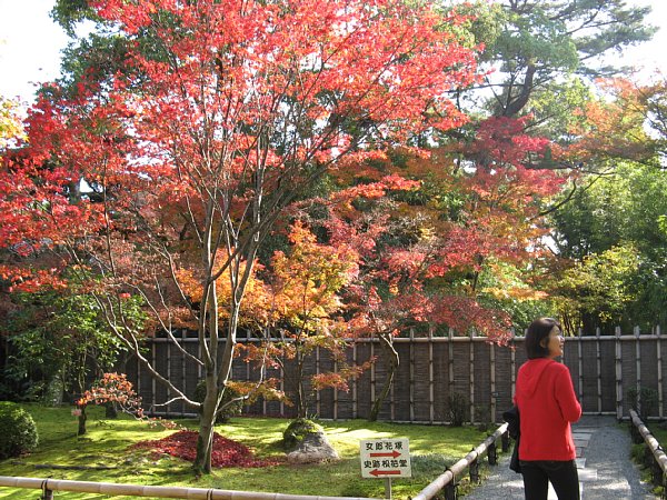 外園の紅葉